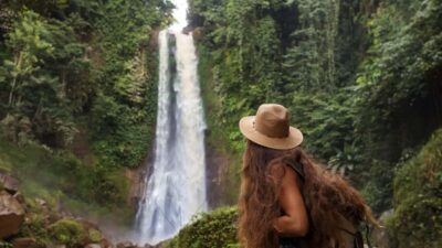 Bali/Lovina: Dolphin Snorkeling, Swimming & Waterfall Tour