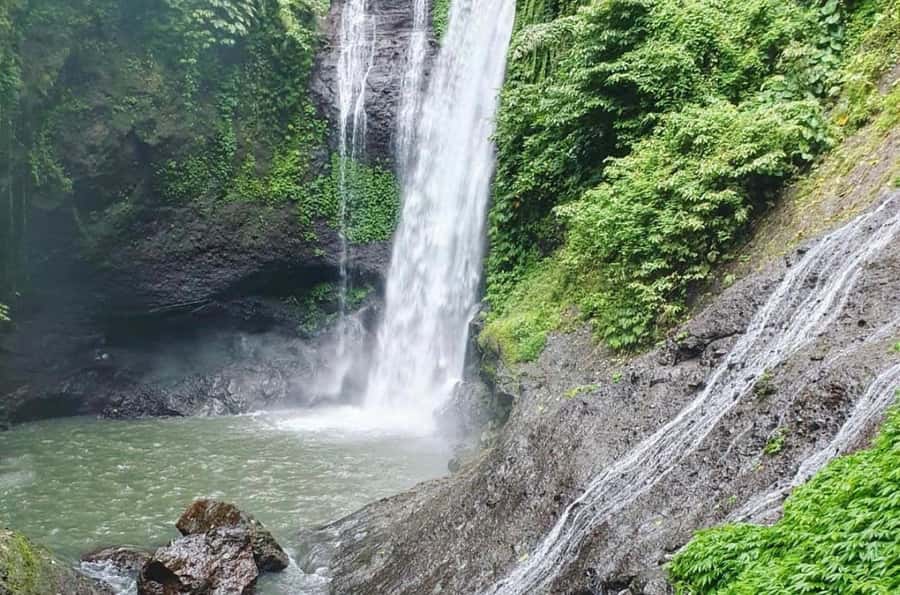 Bali/Lovina: Dolphin Snorkeling, Swimming & Waterfall Tour - What to pack for a wet, early morning