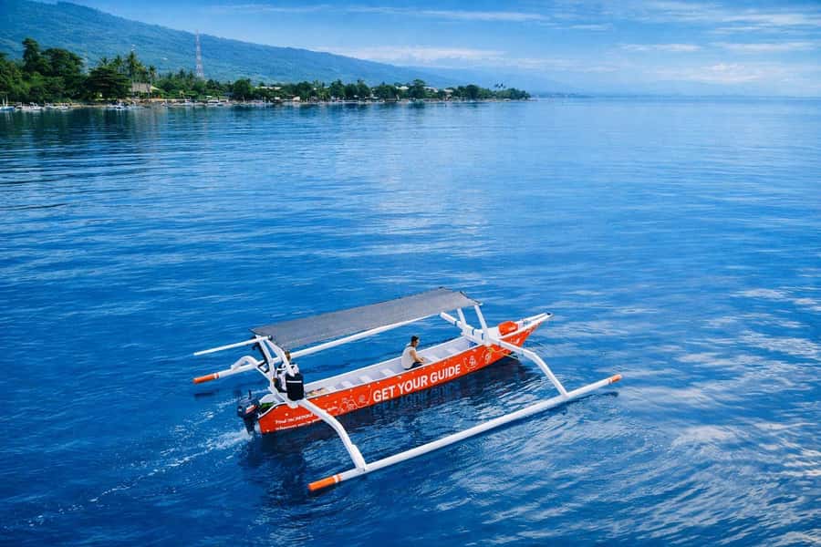 Bali/Lovina: Guided Dolphin Watching & Sunrise Boat Snorkel - Swimming with dolphins from a secured float