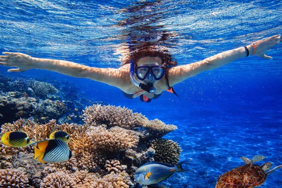 Bali/Lovina: Guided Dolphin Watching & Sunrise Boat Snorkel - Who will enjoy this Lovina morning most
