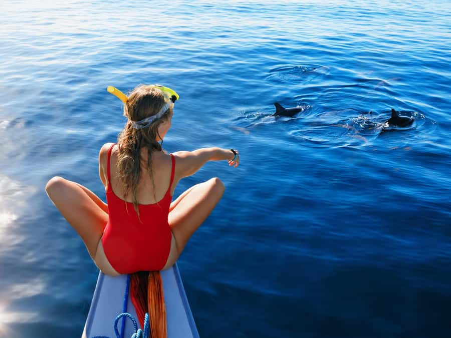 Bali: Swimming with dolphin & waterfal tour, all inclusive. - A Very Early Start for Lovina Dolphins