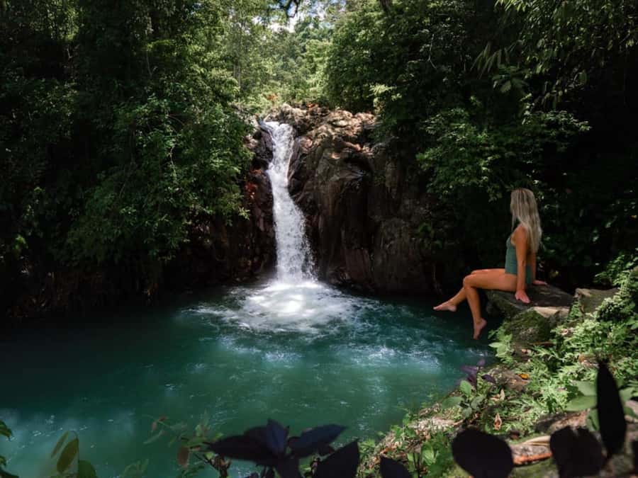 Bali: Swimming with dolphin & waterfal tour, all inclusive. - Aling Aling Waterfall Brings the Day Back Down to Earth