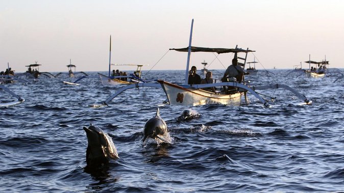 Bali Watching Dolphin at Lovina Beach & aling aling waterfall - The 3:30 a.m. Run to Lovina