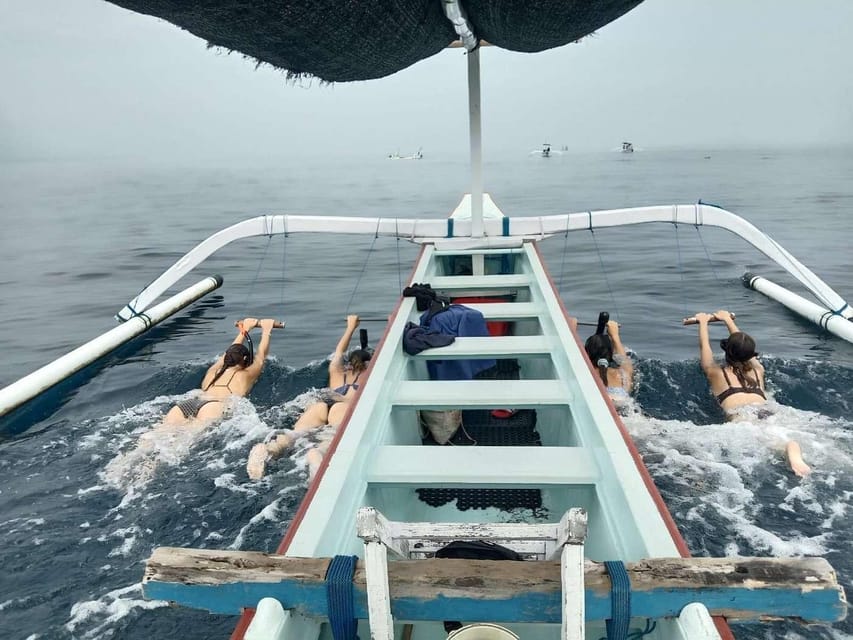 Bali: Watching Dolphin, Swimming & Snorkeling Tour - Who will enjoy this trip most?