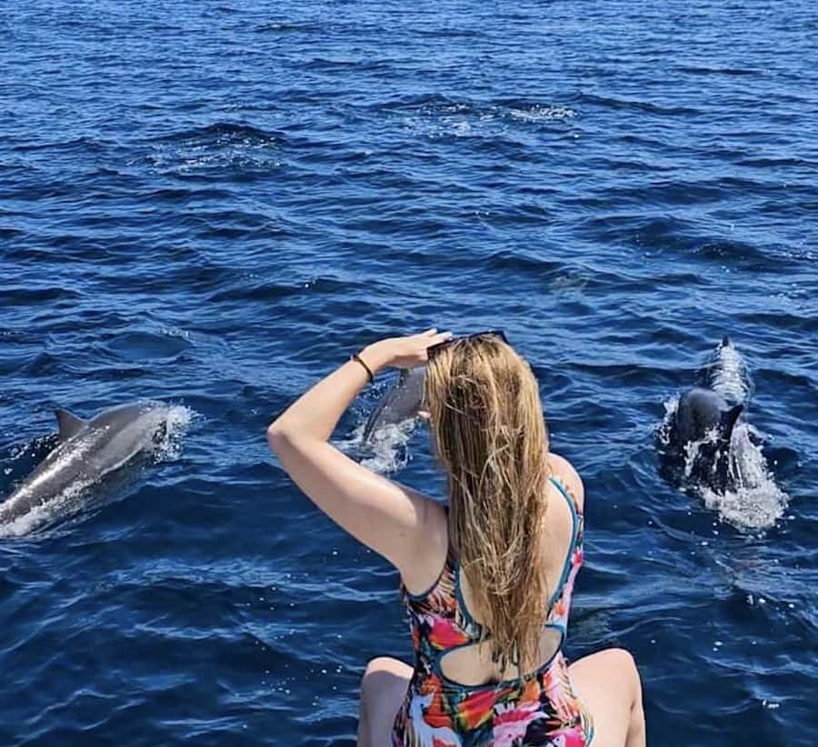 Bali: Watching Dolphin, Swimming & Snorkeling Tour - Watching wild dolphins at sunrise