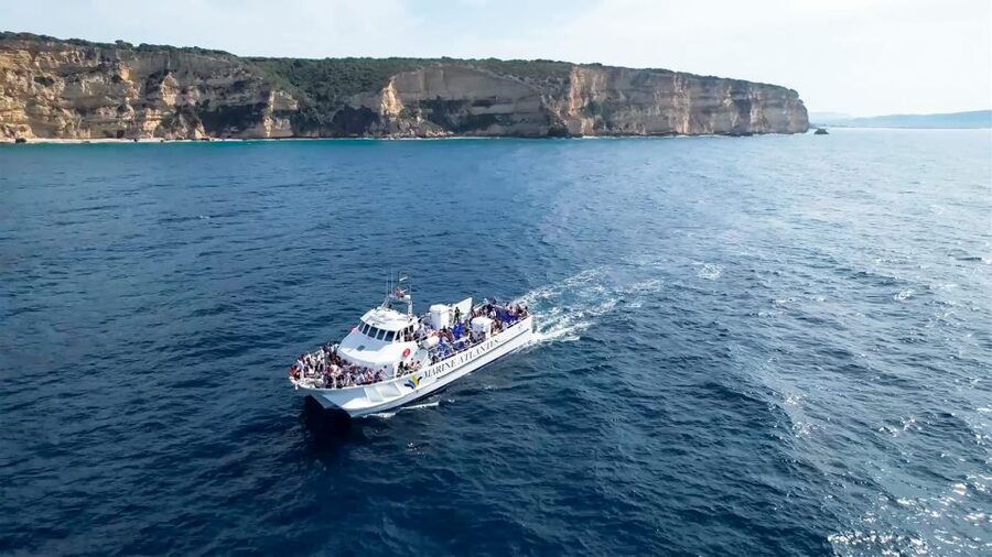 Barbate: Dolphin and Whale Watching in Cape Trafalgar - Watching the Atlantic for fins and blows