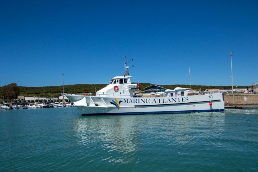Barbate: Dolphin and Whale Watching in Cape Trafalgar - What the guide commentary adds