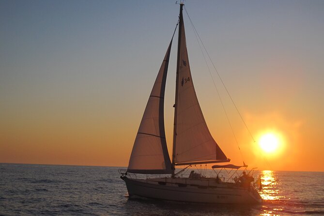 Bari sailing cruise in search of dolphins - Dolphins, with no promise of a sighting