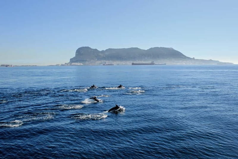 Bay of Gibraltar: Dolphin Cruise - Leaving Marina Bay near Ocean Village