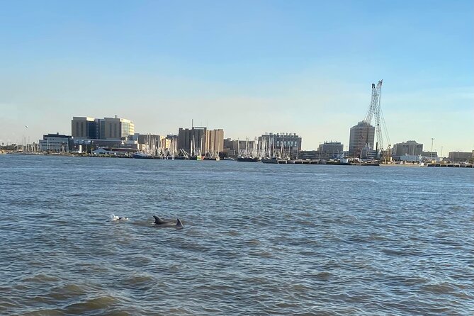 Baywatch Dolphin Tours – Pier 21 Galveston - What happens after you board