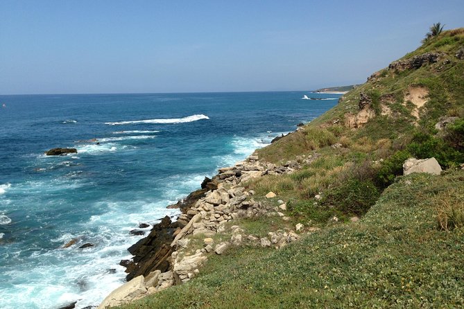 Beaches Dolphins And Viewpoints Discovering The Hidden Port By Sea And Land - Food, mezcal, and the value of the land portion