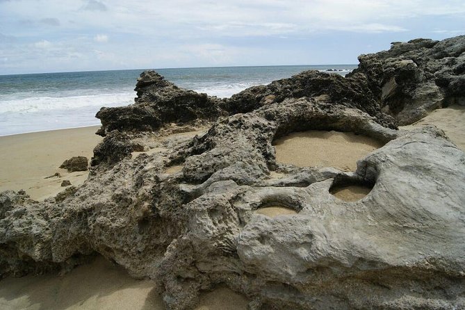 Beaches Dolphins And Viewpoints Discovering The Hidden Port By Sea And Land - Who should book it