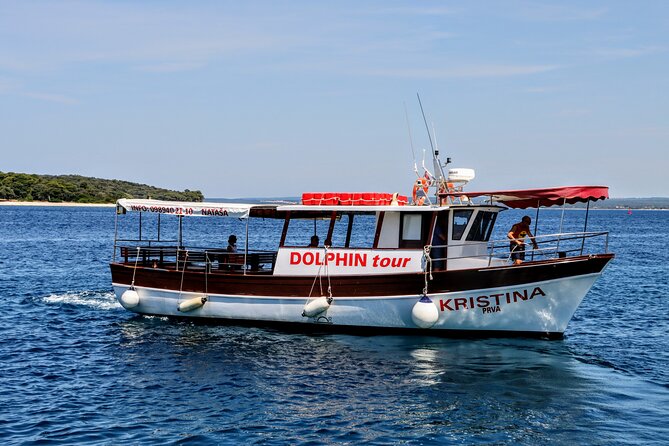Beautiful Sunset and Dolphin Watching - Key points to know before boarding