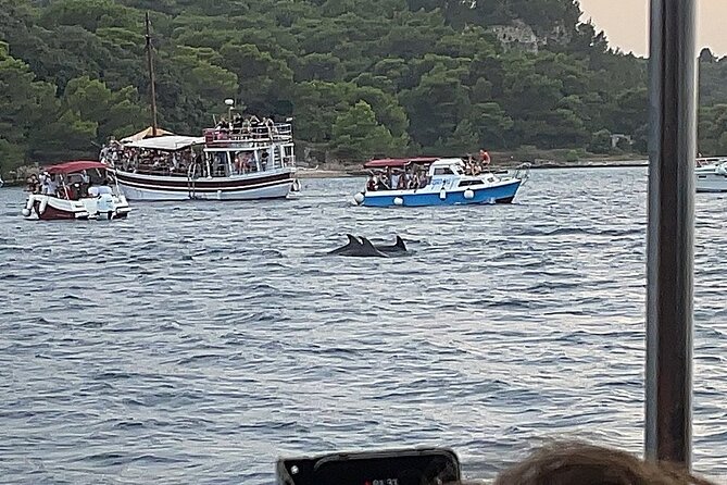 Beautiful Sunset and Dolphin Watching - What the boat trip feels like