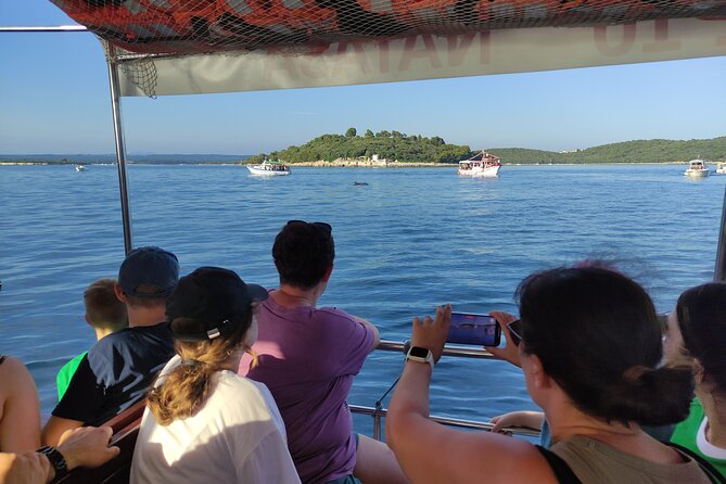 Beautiful Sunset and Dolphin Watching - How much value do you get for $36.30?
