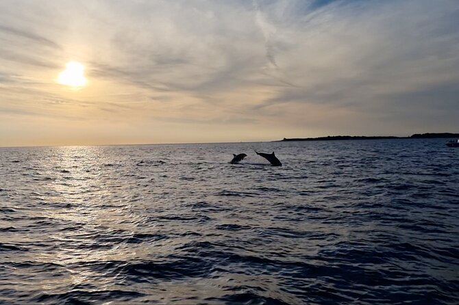 Beautiful Sunset and Dolphin Watching - Who will enjoy this most