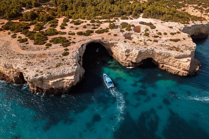 Benagil Caves and Dolphin Watching - 2.5h - From Albufeira Marina to the open sea