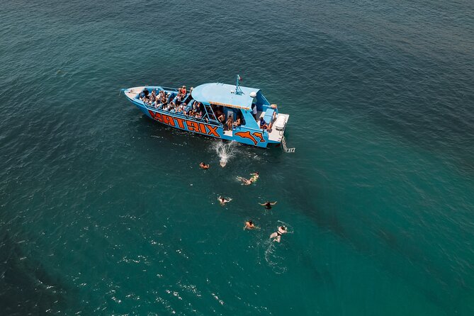Benagil Caves and Dolphin Watching - 2.5h - The optional swim in the Atlantic