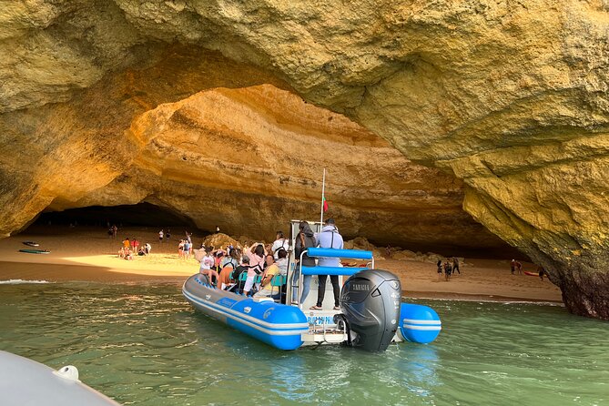 Benagil Caves and Dolphins from Albufeira - Dolphin watching without a guaranteed sighting