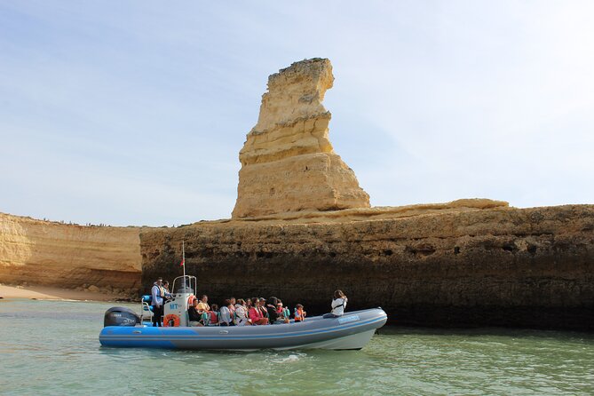 Benagil Caves and Dolphins from Albufeira - Who will enjoy this experience most