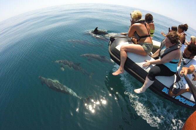 Benagil Caves and Dolphins from Albufeira - Swimming gives the trip a more active finish