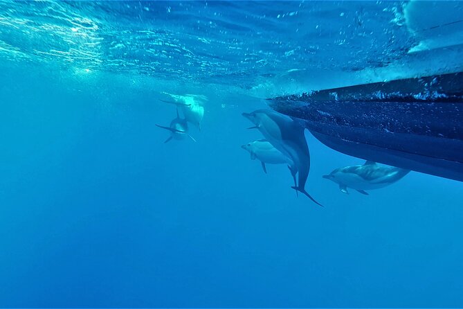 Benagil Caves Visit with Dolphins Watching from Albufeira - Alfanzina adds tunnels and a larger cavern