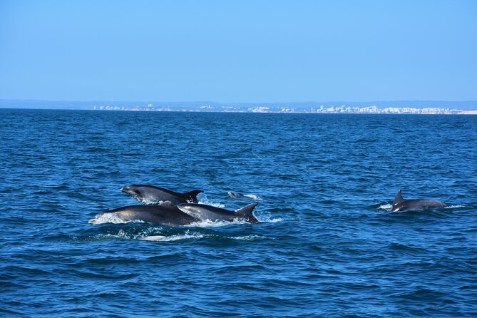 Benagil Caves Visit with Dolphins Watching from Albufeira - Albandeira brings the first striking formations