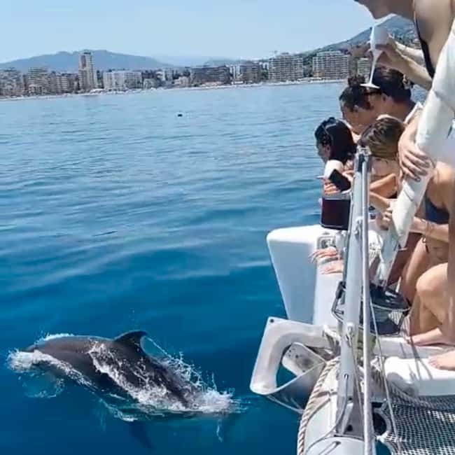 Benalmádena: Catamaran with dolphin watching and drinks - Sailing the Benalmádena coast