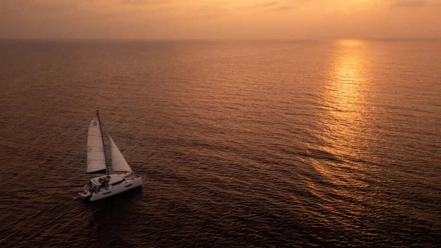 Benalmádena: Catamaran with dolphin watching and drinks - Who will enjoy this most