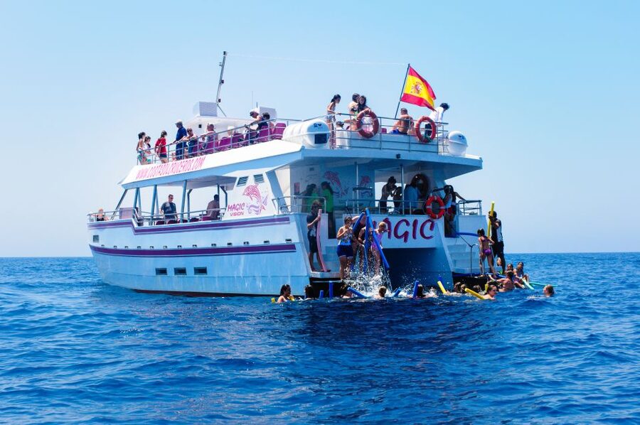 Benalmadena: Dolphin Watching Boat Tour - Comfort when the sea turns choppy