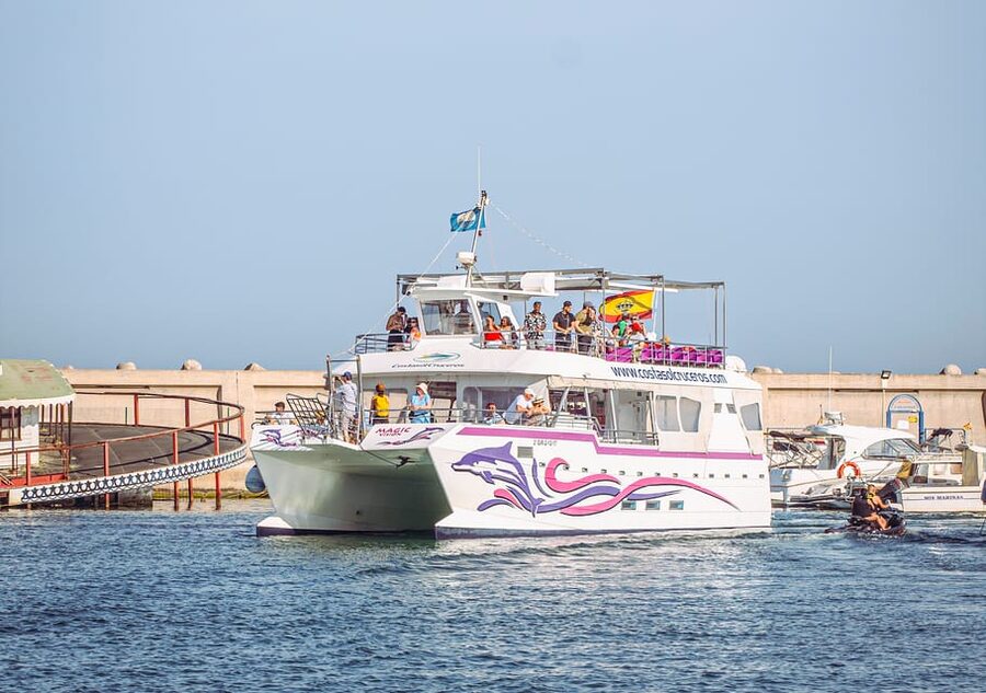 Benalmadena: Dolphin Watching Boat Tour - The New Magic is built for a relaxed outing