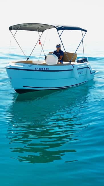 Benalmádena: license-Free Rent Boat for Dolphin Watching - Dolphin watching without a guarantee