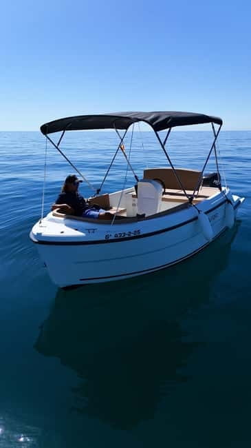 Benalmádena: license-Free Rent Boat for Dolphin Watching - Who will enjoy this private boat most
