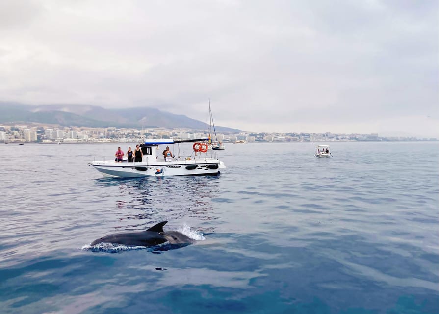 Benalmadena: Private Boat Trip – Dolphins, Drinks & Snacks - Swimming, snorkeling, kayaking, and fishing