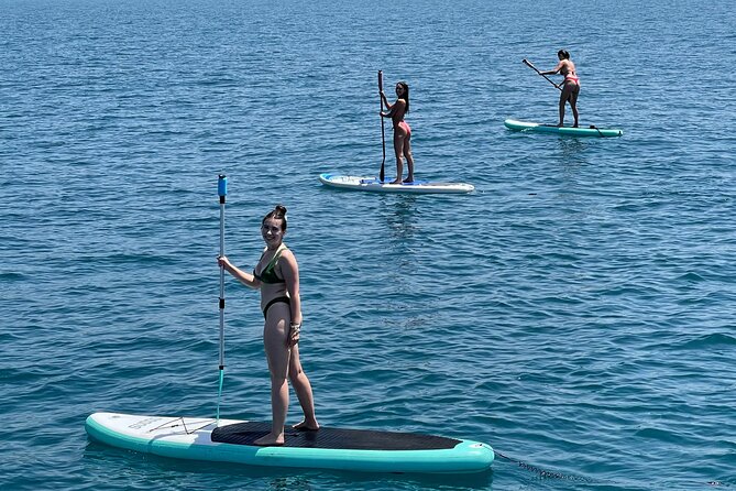 Benalmádena: Sailing and Dolphin Watching with Snacks and Drinks - Boarding, weather, and comfort concerns