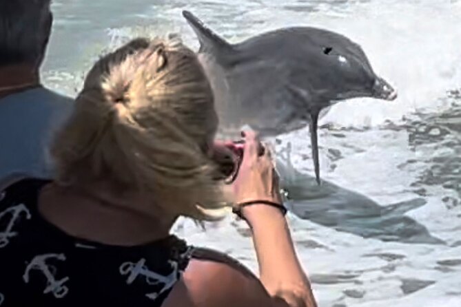 Best of Marco Island Dolphin Tour - Starting in Goodland, Marco Island’s old fishing village