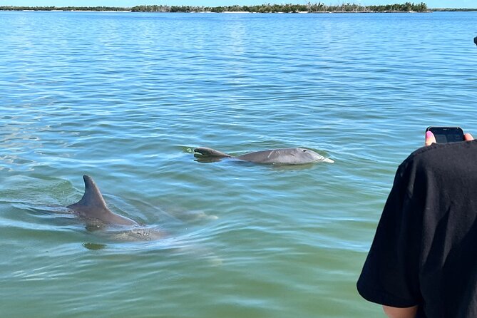 Best of Marco Island Dolphin Tour - Cape Romano is a bonus, not a promise