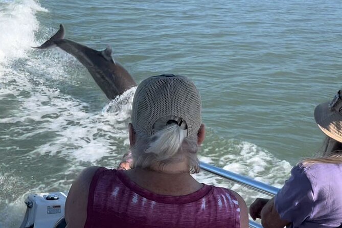 Best of Marco Island Dolphin Tour - Who will enjoy this most