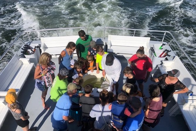 Big Fun Dolphin Cruise & Sealife Experiece ORANGE BEACH ALABAMA - Watching dolphins along Orange Beach