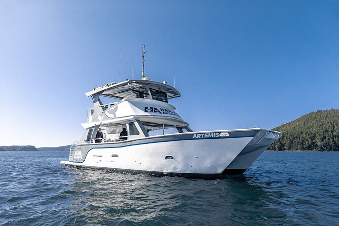 Big Island: Pelagic Whale Watch Tour - From Honokohau Harbor into Kona’s wildlife waters