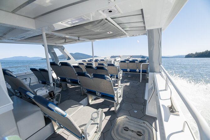 Big Island: Pelagic Whale Watch Tour - Who should book this Kona whale watch?