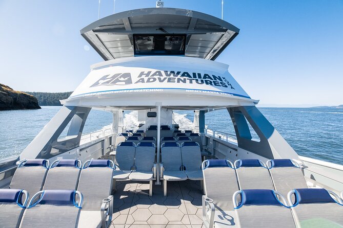 Big Island: Pelagic Whale Watch Tour - Why the pelagic zone changes the experience