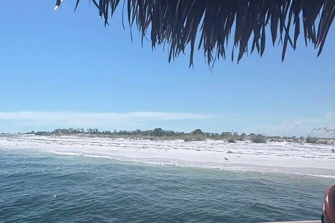 Big Kahuna Sunset Dolphin Cruise Experience - Who Will Enjoy This Cruise Most