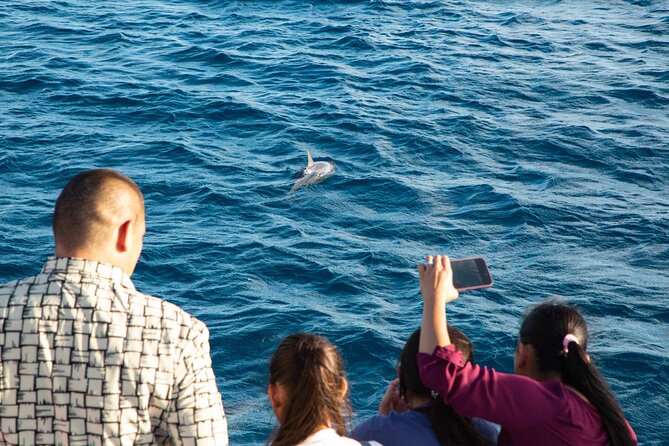 BIG Sunset Cruise - Dinner & Dolphin Watching in Guam - Key points at a glance