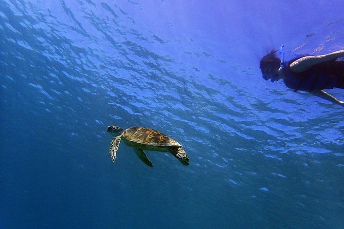 BIG Sunset Cruise - Dinner & Dolphin Watching in Guam - Who gets the most from this cruise