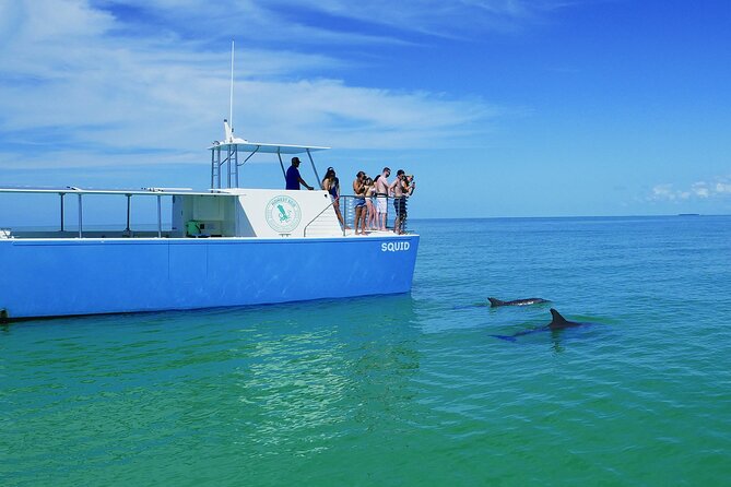 Biologist Owned & Operated: Dolphin Watching & Guided Snorkeling - Snorkeling at the clearest place available