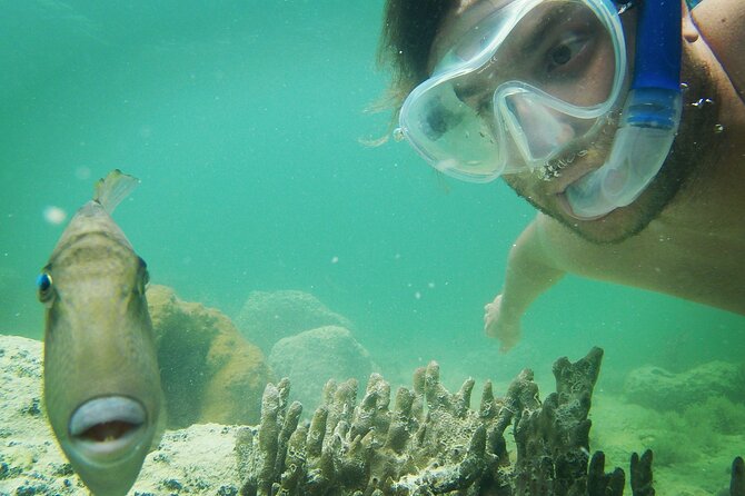 Biologist Owned & Operated: Dolphin Watching & Guided Snorkeling - The boat, food, and small-group feel