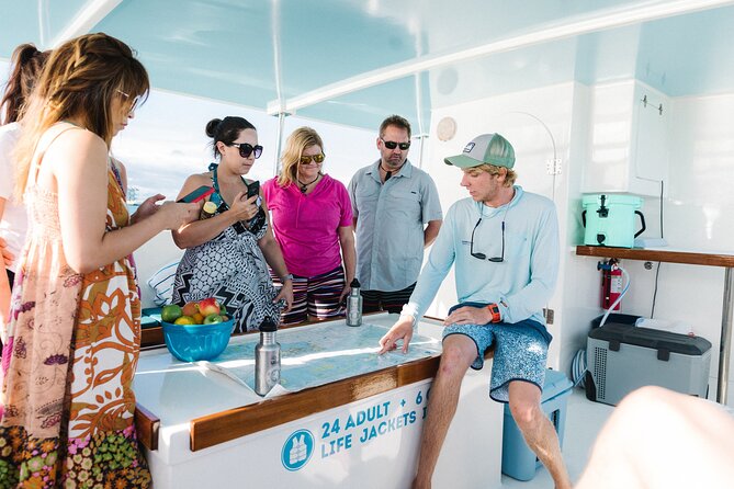 Biologist Owned & Operated: Dolphin Watching & Guided Snorkeling - Meeting at SQUID in the Historic Seaport