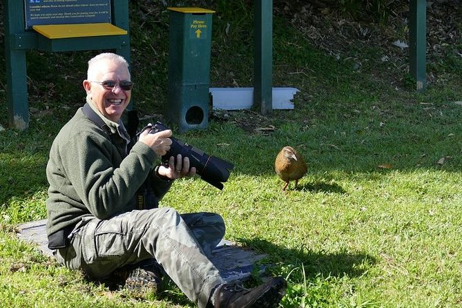 Bird Watching and Dolphin Eco-Tour to Blumine Island - Key points to know before booking