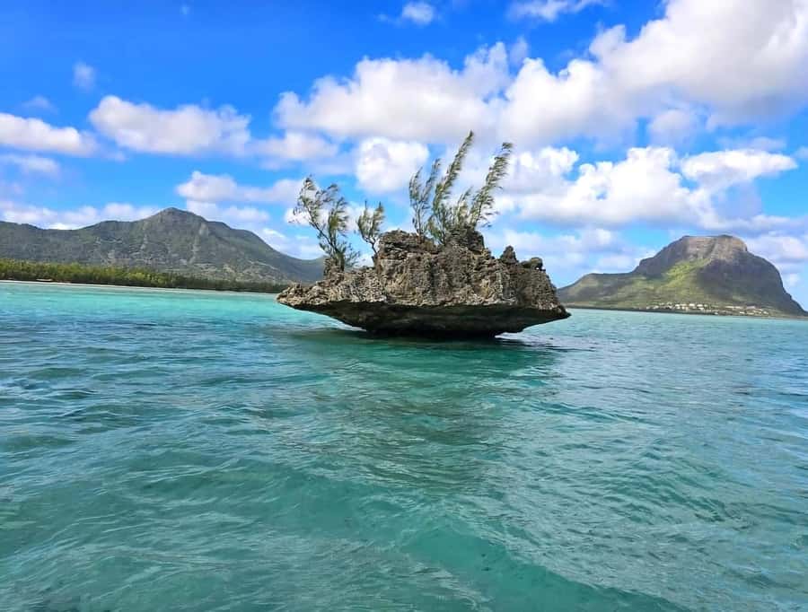 Black River: Swim with Dolphin Speed Boat Tour with lunch - A fast start from Flic en Flac Public Beach